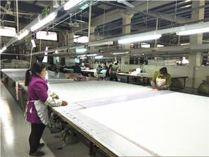 良心推薦 小永遠(yuǎn)羽絨被加工廠品質(zhì)優(yōu)價(jià)廉，誠(chéng)招代理加盟