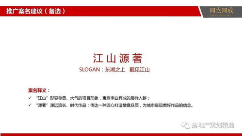 房地產營銷策劃與信息咨詢一體化解決方案